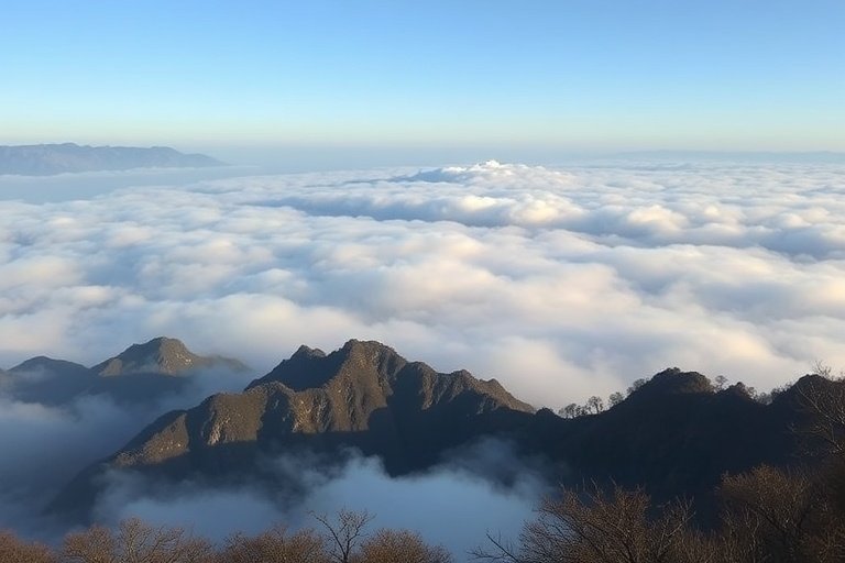 鉴黄师视频-黄山云海：中国最美山岳4K